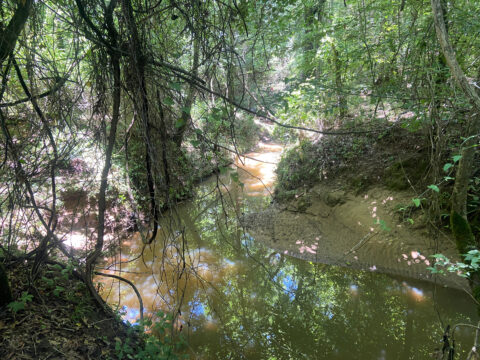 Rural land for sale - 10.293 acre lot in Louisiana photo 4