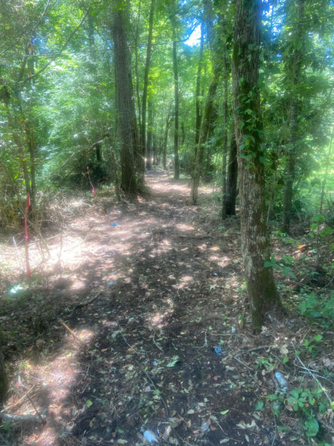Rural land for sale - 10.293 acre lot in Louisiana photo 5