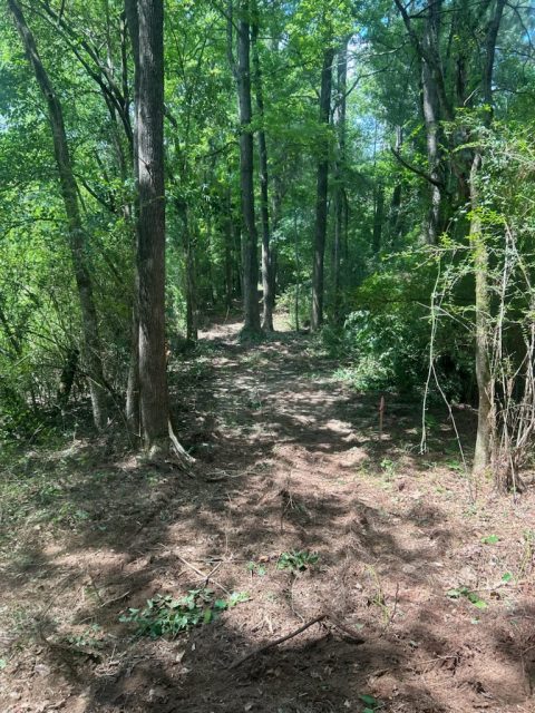 Aerial view of 10.293 acre land in Louisiana