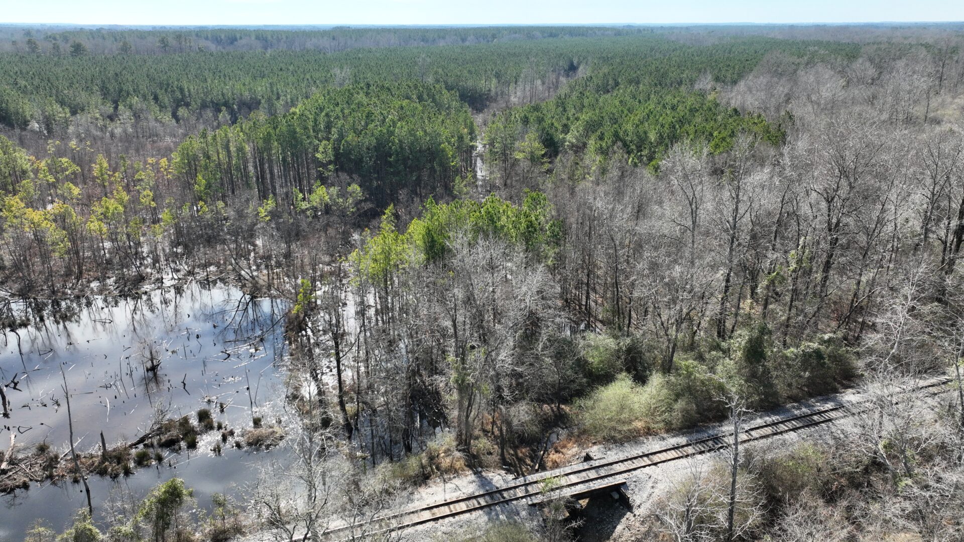 Deer & Duck Hunting Oasis, 32.67 Acres with Utilities & Gated Access in