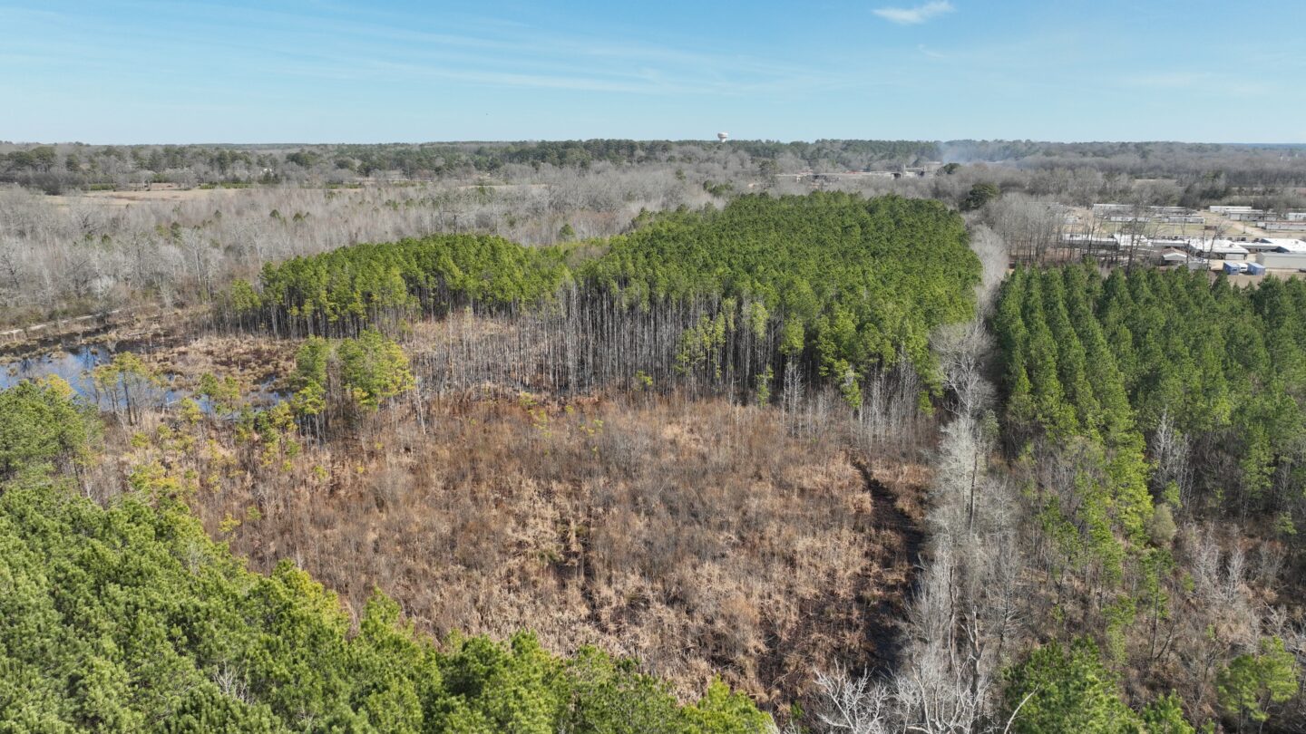 Deer & Duck Hunting Oasis, 32.67 Acres with Utilities in Pickens County