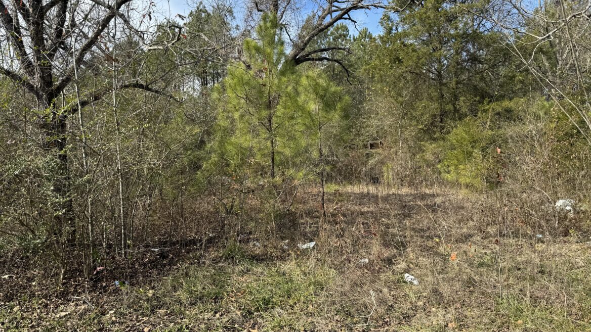 Deer & Duck Hunting Oasis, 32.67 Acres with Utilities in Pickens County