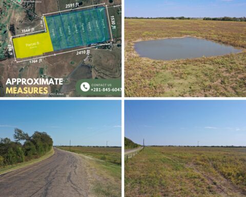 0 acre land for sale in None County Texas - featured listing photo