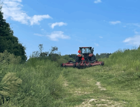 100 acre wooded cleared property for sale in Giles County Tennessee - aerial overview