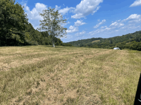 Wooded cleared land for sale - 100 acre lot in Giles County Tennessee photo 5