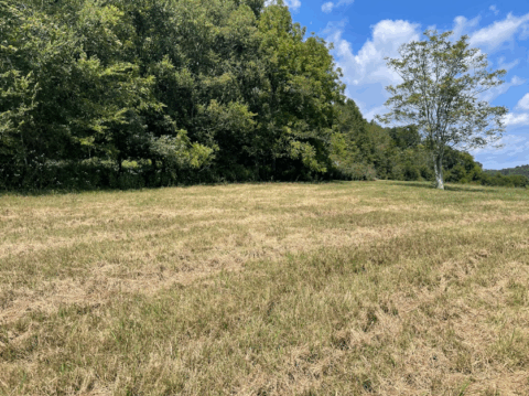 Property boundary view of 100 acre tract in Giles County Tennessee