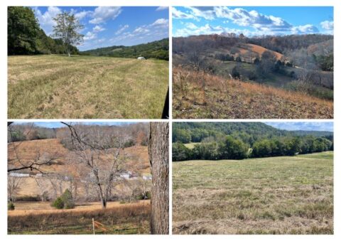 100 acre land for sale in Giles County Tennessee - featured listing photo