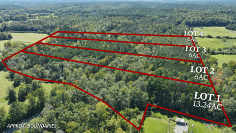 0 acre unrestricted wooded property for sale in in Bibb County Alabama - aerial overview