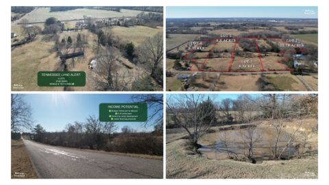 0 acre land for sale in Dyer County Tennessee - featured listing photo