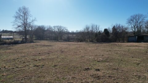 Terrain and landscape of 0 acre wooded cleared land in Dyer County Tennessee