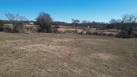 Terrain and landscape of 0 acre wooded cleared land in Dyer County Tennessee