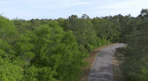 Aerial view of 4 acre land in Gadsden County Florida
