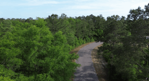Wooded land for sale - 4 acre lot in Gadsden County Florida photo 4