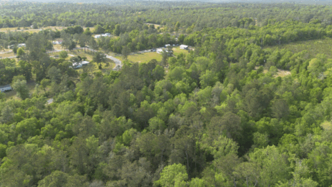 Land features on 4 acre property in Gadsden County Florida - image 8 of 15