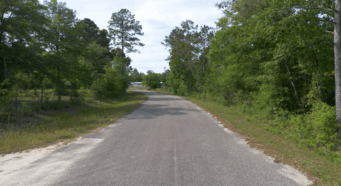 Wooded land for sale - 4 acre lot in Gadsden County Florida photo 5