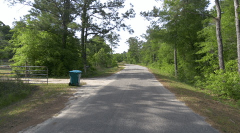 Wooded land for sale - 4 acre lot in Gadsden County Florida photo 6