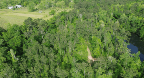 Terrain and landscape of 4 acre wooded land in Gadsden County Florida