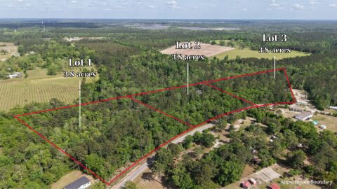 4 acre wooded property for sale in Gadsden County Florida - aerial overview