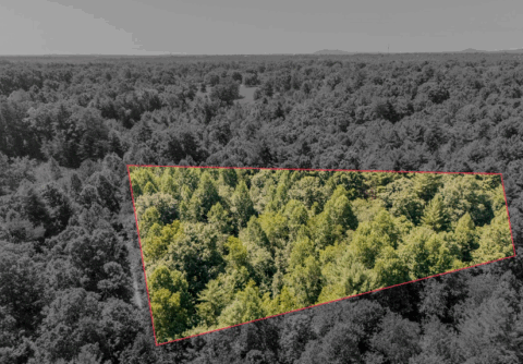 Wooded land for sale - 2.7 acre lot in Caldwell County North Carolina photo 4