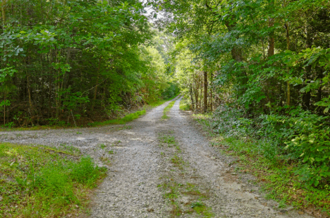 Terrain and landscape of 2.7 acre wooded land in Caldwell County North Carolina