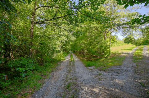 Terrain and landscape of 2.7 acre wooded land in Caldwell County North Carolina