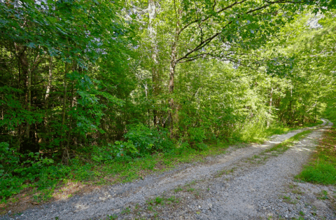 2.7 acre rural property in Caldwell County North Carolina - view 16
