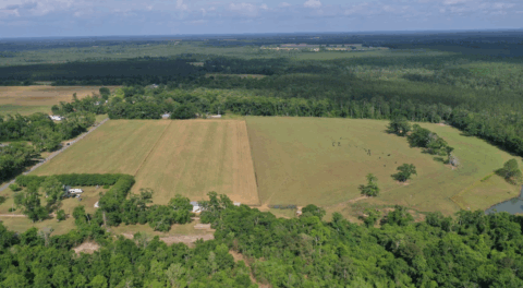 15 acre land for sale in Florida - gallery photo 24 of 24