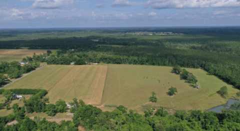 15 acre land for sale in Florida - gallery photo 23 of 24