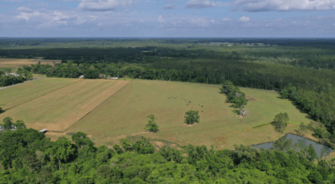 15 acre land for sale in Florida - gallery photo 22 of 24