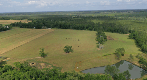 15 acre land for sale in Florida - gallery photo 21 of 24