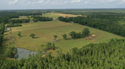 15 acre rural property in Florida - view 20