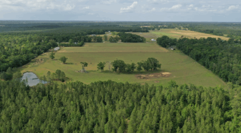 15 acre rural property in Florida - view 19