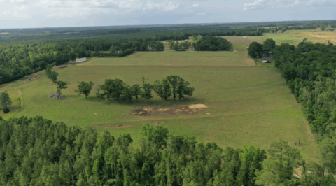 15 acre rural property in Florida - view 18