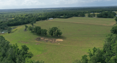 15 acre rural property in Florida - view 17