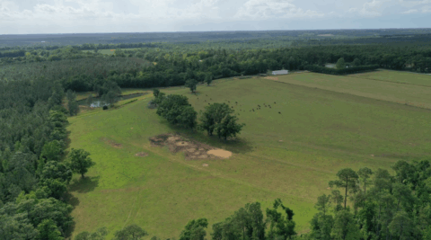 15 acre rural property in Florida - view 16