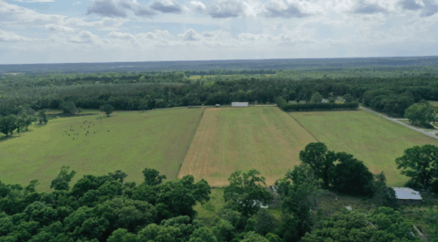 Terrain and landscape of 15 acre cleared flat land in Florida