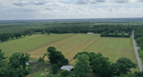 Terrain and landscape of 15 acre cleared flat land in Florida