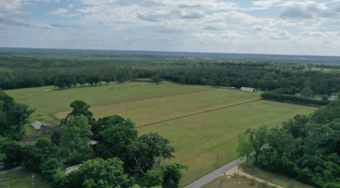 Terrain and landscape of 15 acre cleared flat land in Florida