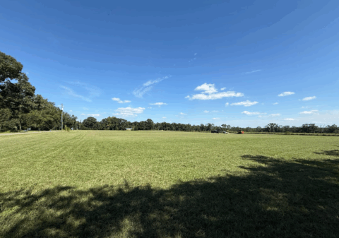 Land features on 15 acre property in Florida - image 10 of 24