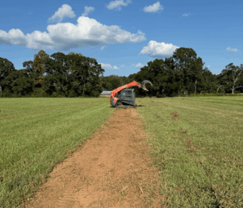 Land features on 15 acre property in Florida - image 9 of 24