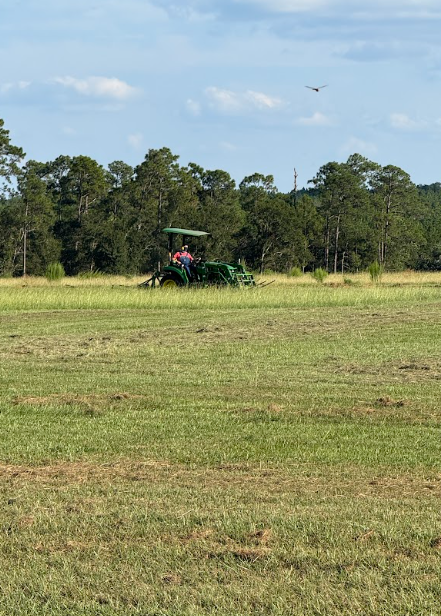 Land features on 15 acre property in Florida - image 8 of 24