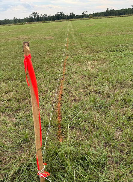Land features on 15 acre property in Florida - image 7 of 24