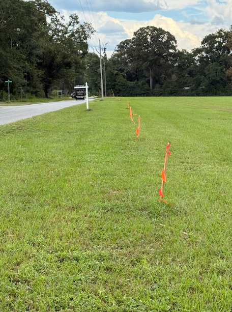 Cleared flat land for sale - 15 acre lot in Florida photo 6