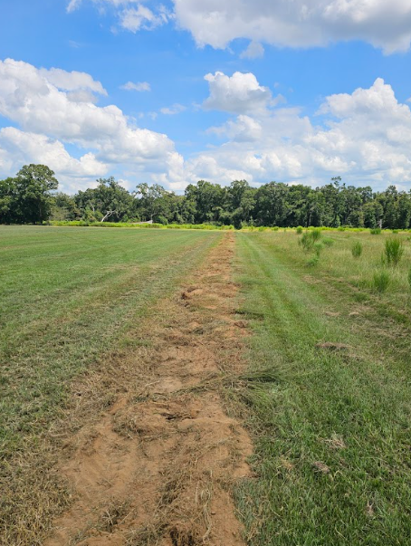 Cleared flat land for sale - 15 acre lot in Florida photo 4