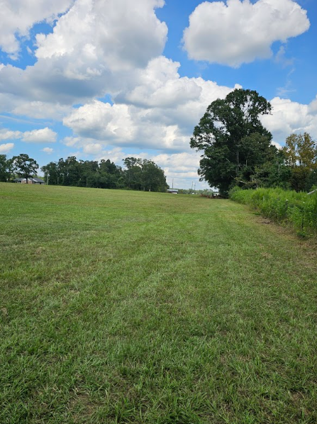 Aerial view of 15 acre land in Florida