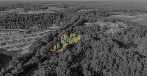 Wooded land for sale - 2 acre lot in Vance County North Carolina photo 5