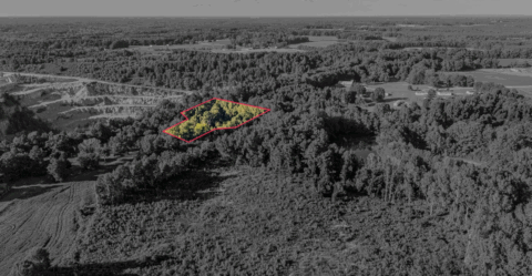 Land features on 2 acre property in Vance County North Carolina - image 7 of 20