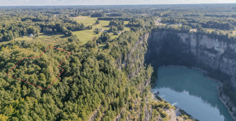 Land features on 2 acre property in Vance County North Carolina - image 10 of 20