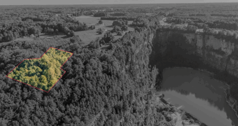 Land features on 2 acre property in Vance County North Carolina - image 9 of 20