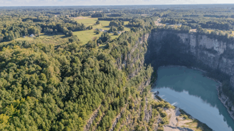 Terrain and landscape of 2 acre wooded land in Vance County North Carolina